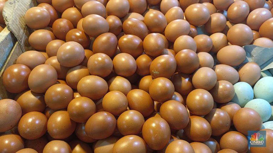 Telur Rebus